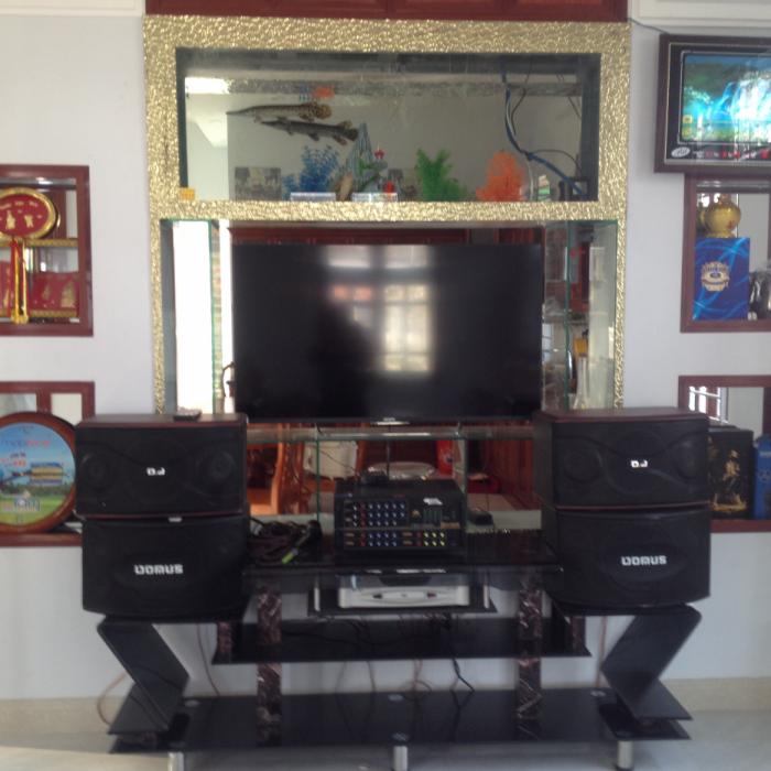 Hồ cá âm tường